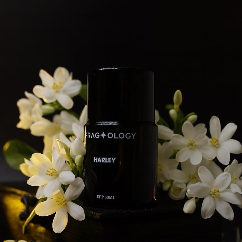 Fragtology Harley EDP 50ML